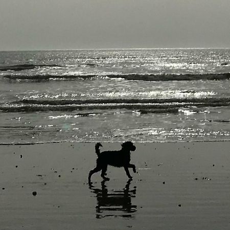 Elegant York House - On A Beach Road, Sleeps 12, With Sea Views ワージング エクステリア 写真